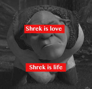 check yourself before you shrek yourself - Misc