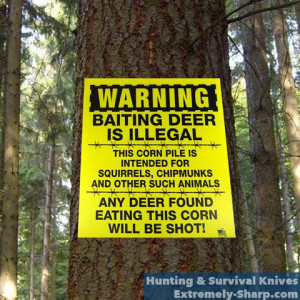 Hunting Baiting Deer is Illegal sign