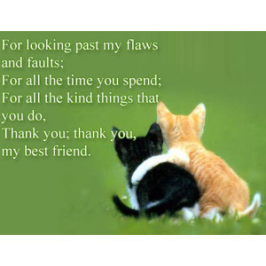 For Looking Past My Flaws And Faults - Apology Quote