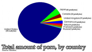 Funny photos funny countries USA pie chart