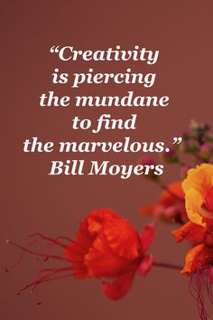 ... is piercing the mundane to find the marvelous.” Bill Moyers