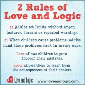 Love and logic approach