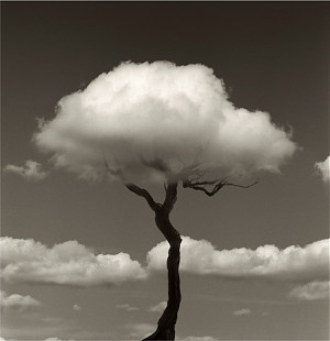 Surreal Black-And-White Photos Cleverly Combine Seemingly Different ...