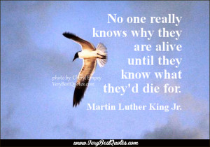 Death Quotes, alive quotes, meaning of life quotes, No one really ...