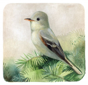 Isabelle Arsenault - BlogBirds Art, Art Photography, Isabel Arsenault ...