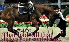 Horse Quotes & Other Horsey Sayings