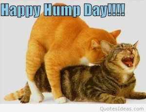 Happy hump day to everybody, funny hump day pics, memes, quotes and ...