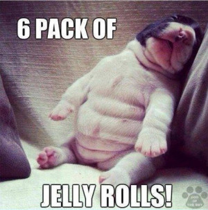funny-six-pack-puppy-cute