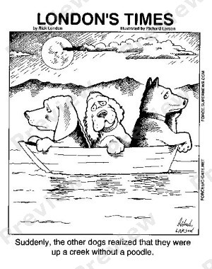 Poodle Quotes-up-creek-without-poodle.jpg