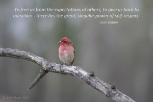 power quotes – the power of self respect inspirational photos quotes ...