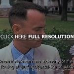 ... quote forrest gump, quotes, sayings, destiny, movie quote the forrest