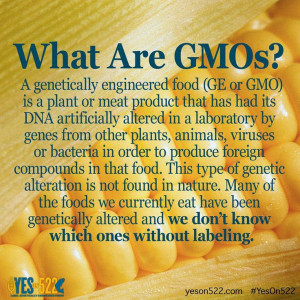 GMO...DANGEROUS ALTERATIONS TO OUR FOOD SUPPLY.