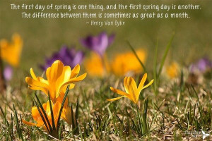 Welcome to the First Day of Spring!