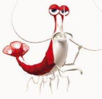 this award is named after jacques the crazy crab from finding nemo who ...