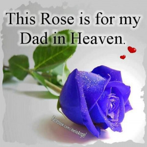 This Rose is for My Dad in Heaven