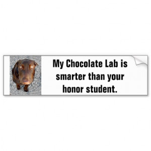 My Chocolate Lab's smarter than your honor student Car Bumper Sticker