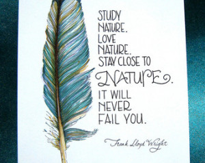 Feather Art - Study Nature, Love Na ture Quote - Frank Lloyd Wright ...