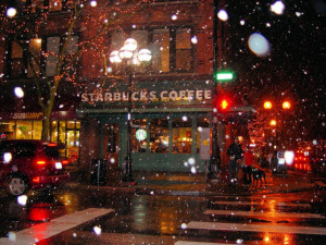 Seattle Snow llc, Snow and Ice Control