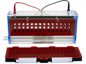 blotting 1 d and 2 d protein electrophoresis equipment and reagents