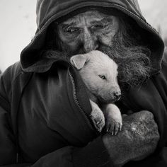 Animal Quotes, Animal Rights & Religions photo: “Compassion for ...
