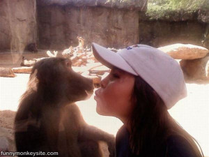 Give Kiss This Picture Was