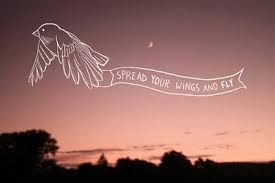 Spread your wings and fly