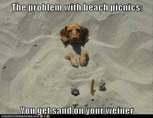 funny weiner dog meme monday random funny pictures gallery