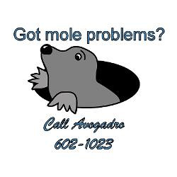 mole_problems_mug.jpg?height=250&width=250&padToSquare=true