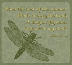 dragonfly with quote more holtz butterflies dragonflies dragonflies ...