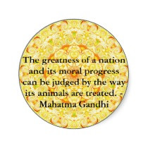 religious animal liberation quotes