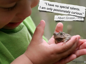 ... no special talents. I am only passionately curious. - Albert Einstein