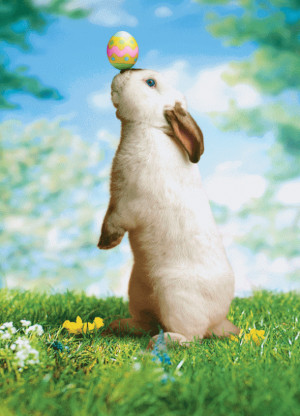 Cool Easter Greeting Cards