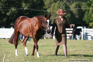 ... Horse Tips at the Equestrian Events, Shows, Competitions forum - Horse