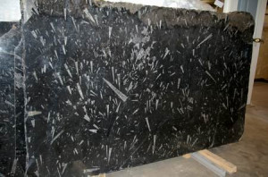 Black Fossil Stone