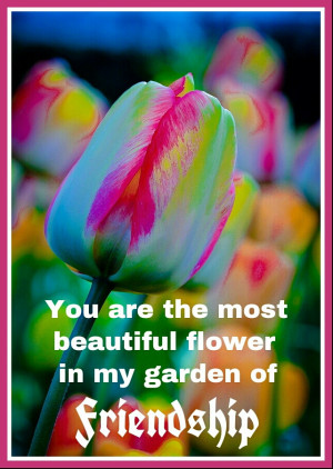 ... Most Beautiful Flower In My Garden Of Friendship - Friendship Quote