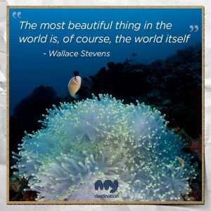 Most beautiful thing in the world... #travel #quote