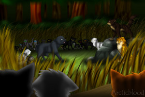 Warrior Cats Forever! discussion