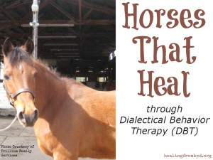 Horses that Heal through DBT (Dialectical Behavior Therapy)