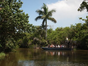 Everglades New Orleans Paul