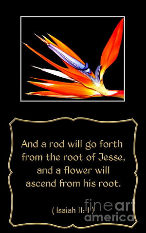 Bird Of Paradise Flower With Bible Quote From Isaiah Poster By Rose ...