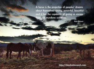 Source: http://blackmtnranch.com/horse-quotes/ Like