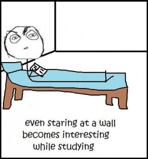 funny meme even staring at a wall becomes interesting while studying