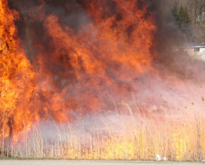 Red Flag alert for Tulsa fire danger.