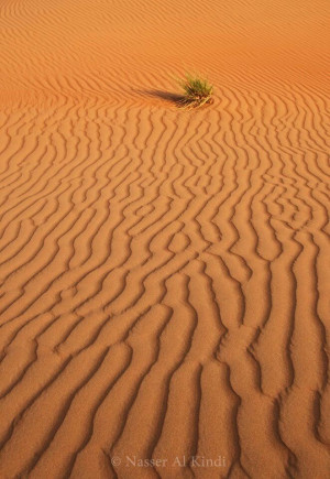 Al Sharqia Sands - Oman - by Nasser Al Kindi