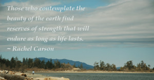 Inspirational quote: Those who contemplate the beauty of the earth…
