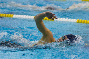 Swimmer Freestyle Swimming