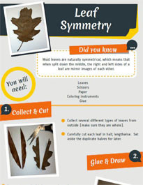 learning coach appreciation quotes