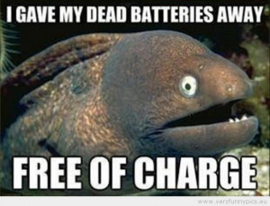 Funny One liners (8 pictures)