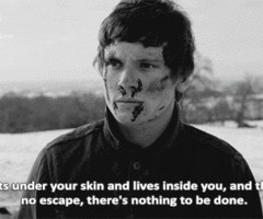 Cook Skins Rise Quotes James cook ♥