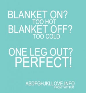 blanket on too hot blanket off too cold one leg out perfect